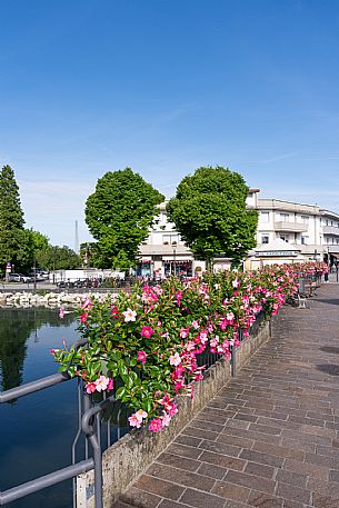 Start Tappa Giro d'Italia Fiume Veneto 2025