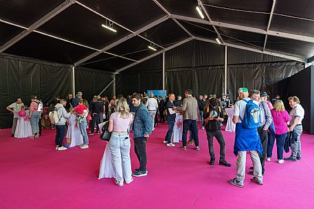 Start Tappa Giro d'Italia Fiume Veneto 2025