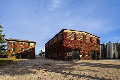 Tenuta Ca Bolani - da noi in riviera