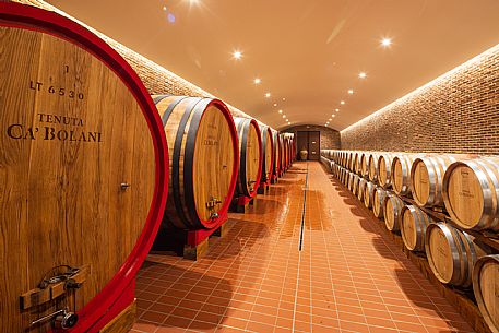 Tenuta Ca Bolani - da noi in riviera