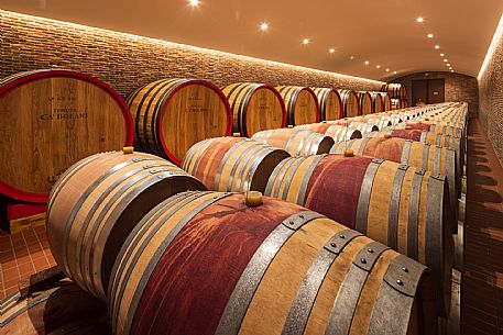 Tenuta Ca Bolani - da noi in riviera