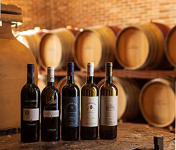 Tenuta Ca Bolani - da noi in riviera