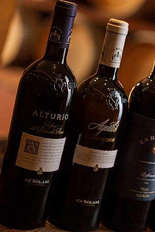 Tenuta Ca Bolani - da noi in riviera