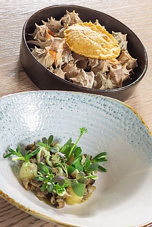 Al Bassotto Restaurant