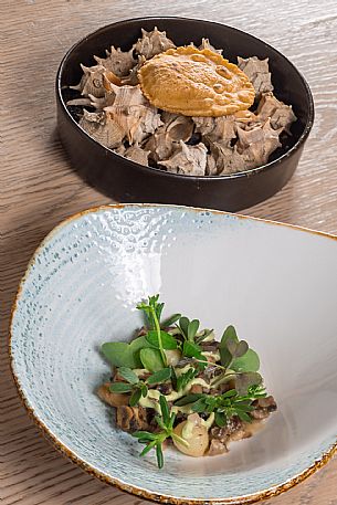 Al Bassotto Restaurant