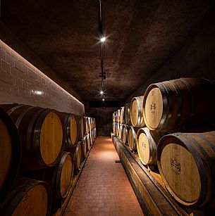 Antonutti wines