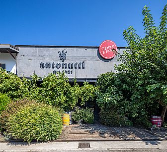 Antonutti wines