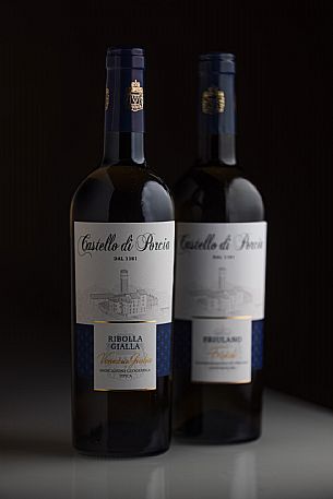 Principi di Porcia e Brugnera, Castello di Porcia