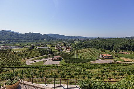 Dario Coos azienda vinicola