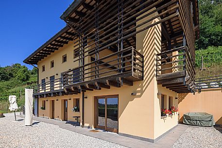 Dario Coos azienda vinicola