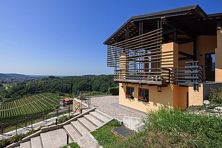 Dario Coos azienda vinicola