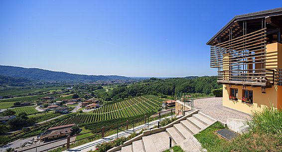 Dario Coos azienda vinicola