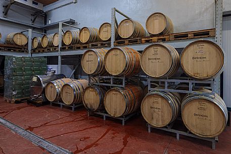 Dario Coos azienda vinicola
