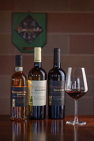 Dario Coos azienda vinicola