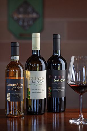 Dario Coos azienda vinicola