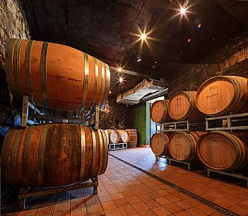 Dario Coos azienda vinicola