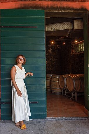 Dario Coos azienda vinicola