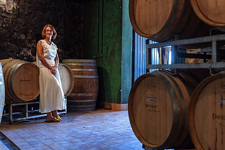 Dario Coos azienda vinicola