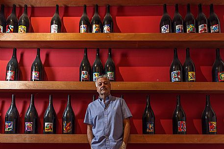 Fantinel wines