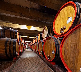 Fantinel wines