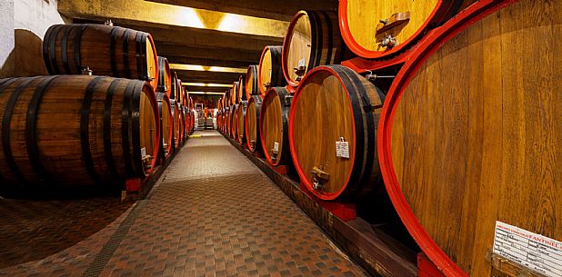 Fantinel wines