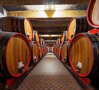 Fantinel wines