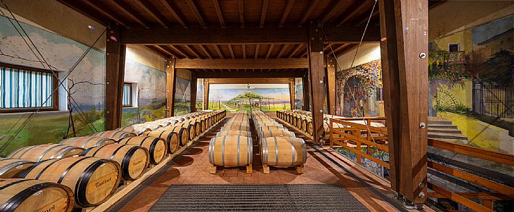 Fantinel wines