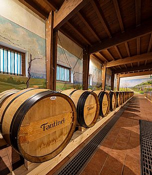 Fantinel wines