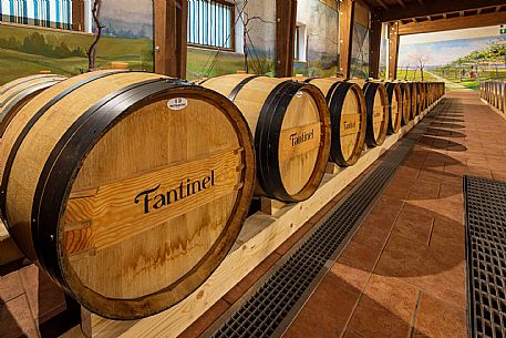 Fantinel wines
