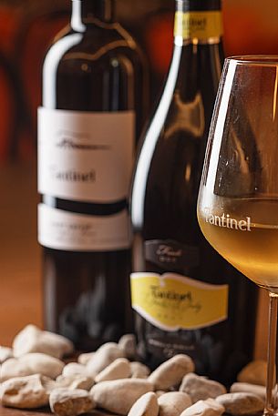 Fantinel wines