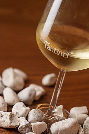 Fantinel wines