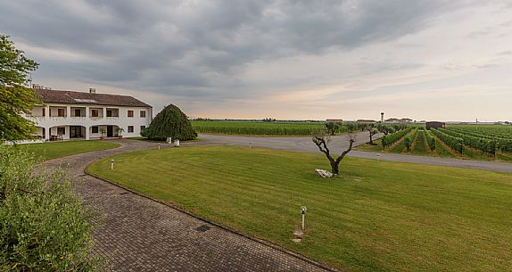 Fantinel wines