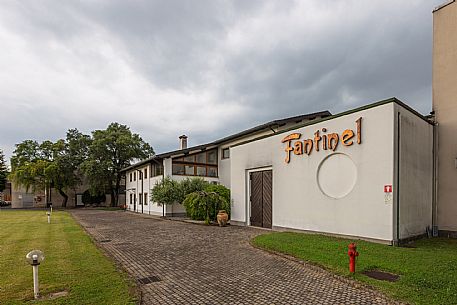 Fantinel wines
