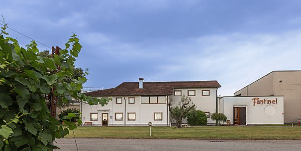 Fantinel wines
