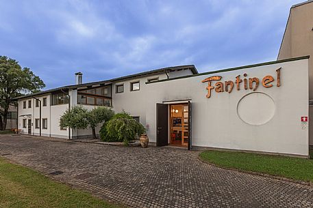 Fantinel wines