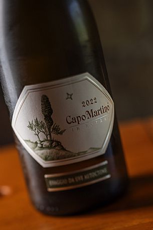 Jermann wines