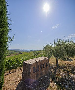 Livon wines