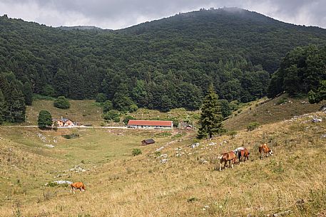 Fossa di Sarone mountain hut
