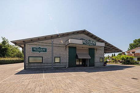 Cantine Rigonat winery