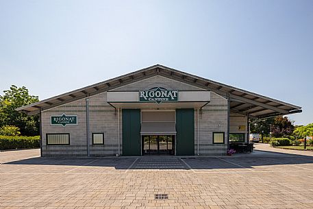 Cantine Rigonat winery