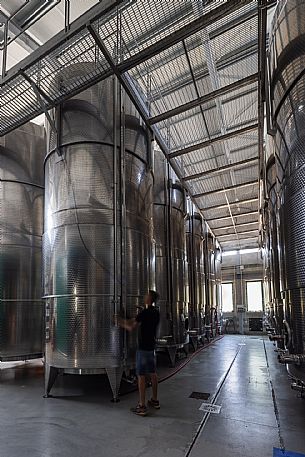 Cantine Rigonat winery