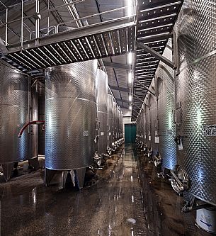 Cantine Rigonat winery