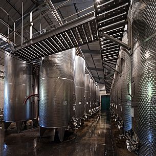 Cantine Rigonat winery
