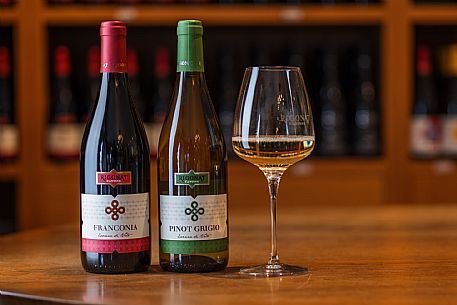 Cantine Rigonat winery
