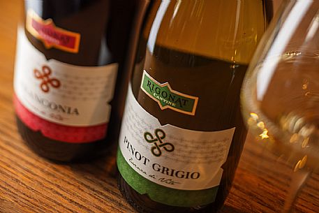 Cantine Rigonat winery