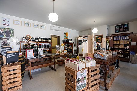 Ronco Margherita wines
