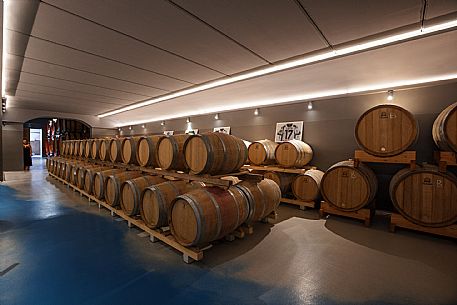 Ronco Margherita wines
