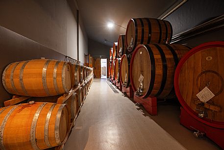 Ronco Margherita wines

