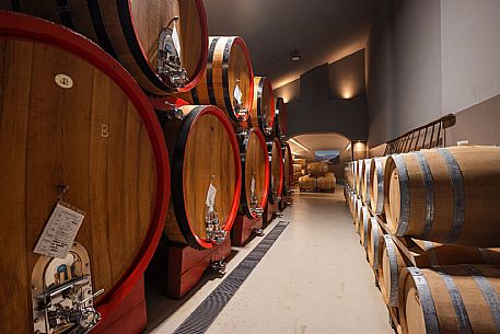 Ronco Margherita wines
