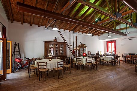 Ronco Margherita wines
